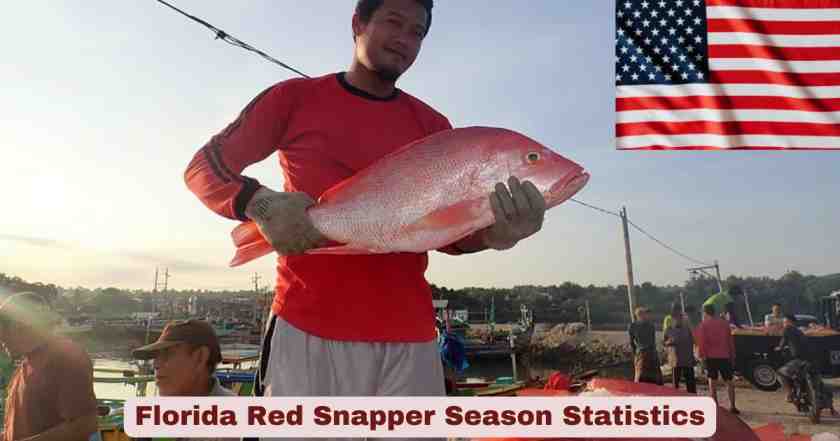Florida Red Snapper Season Statistics 2026 | Dates, Facts