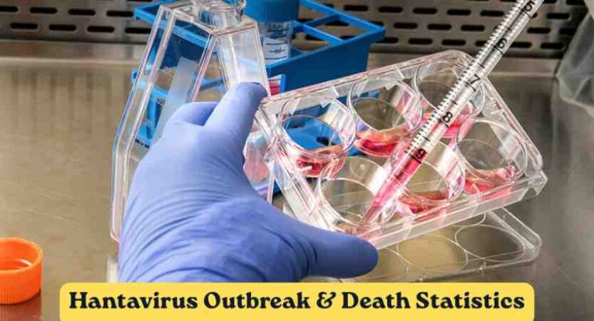 Hantavirus Outbreak & Deaths Statistics 2026 | Cases, Timeline & Facts