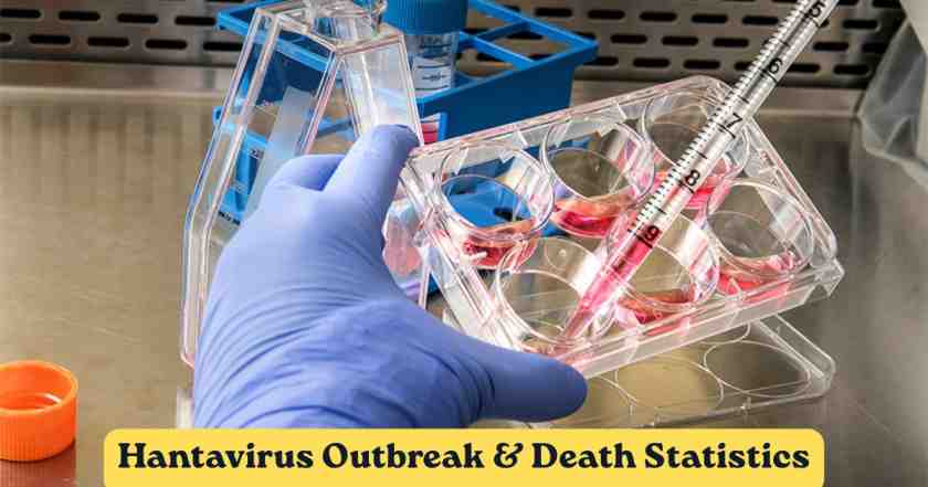 Hantavirus Outbreak & Deaths Statistics 2026 | Cases, Timeline & Facts