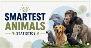 Smartest Animals Statistics 2026 | Intelligence Rankings & Key Facts