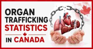 Organ Trafficking Statistics in Canada 2026 | Cases, Laws & Key Facts