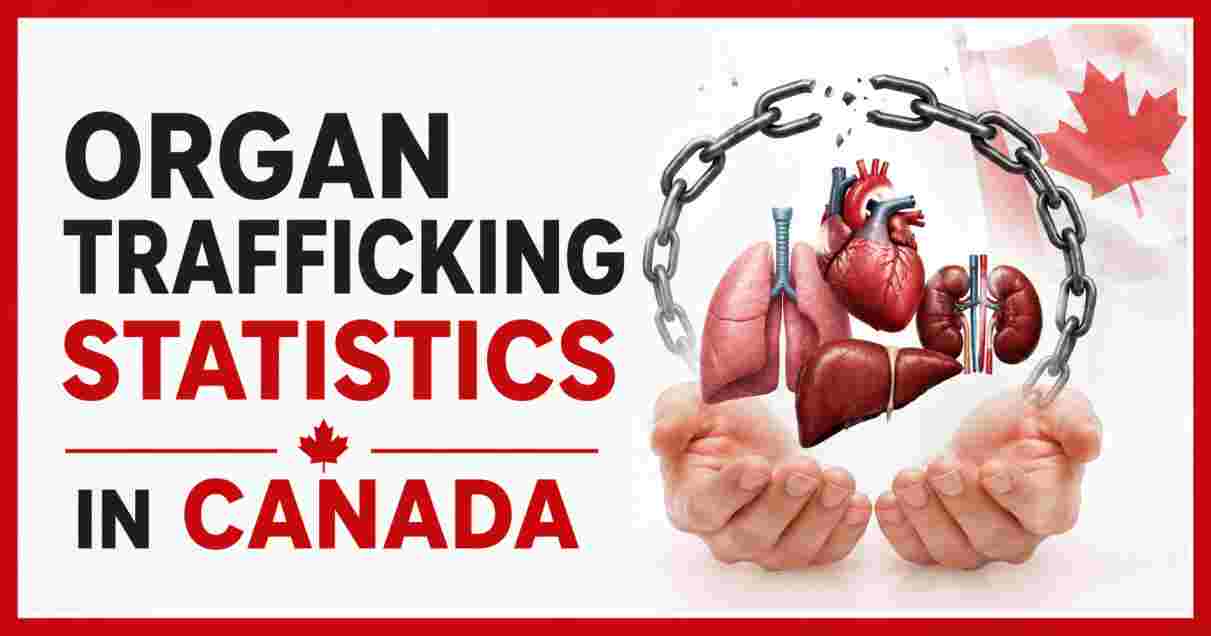 Organ Trafficking Statistics in Canada 2026 | Cases, Laws & Key Facts