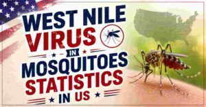 West Nile Virus in Mosquitoes Statistics in US 2026 | Symptoms, Treatments & Facts