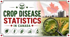 Crop Disease Statistics in Canada 2026 | Wheat, Canola, Crops & Facts