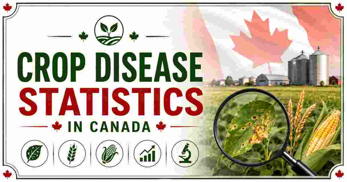 Crop Disease Statistics in Canada 2026 | Wheat, Canola, Crops & Facts