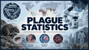 Plague Statistics 2026 | Global Cases, Deaths, Countries, Trends & Facts